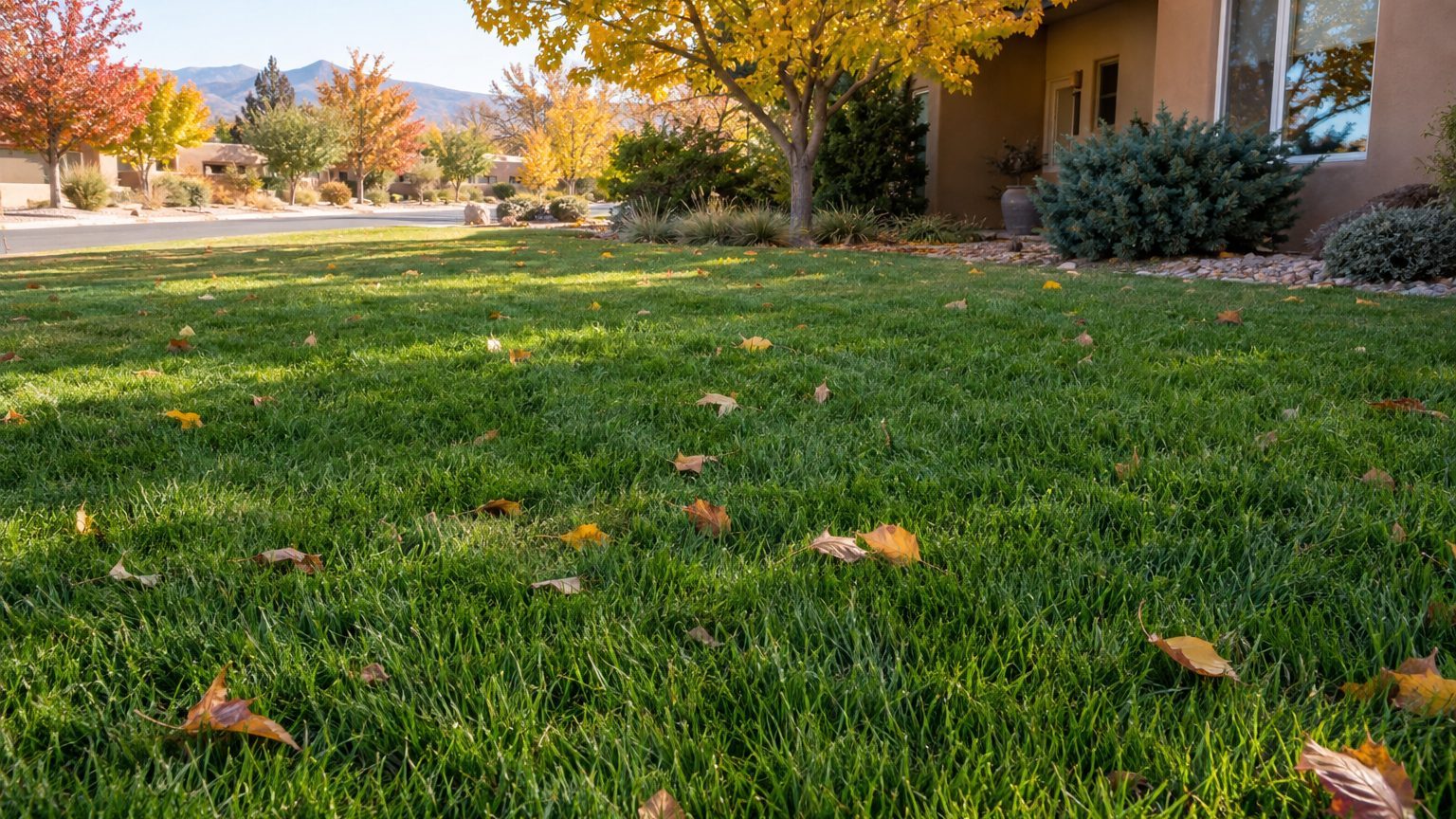 New Mexico Lawn Care Schedule, Month by Month