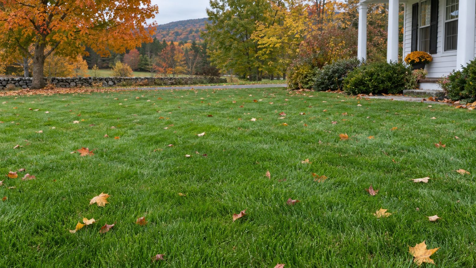 Vermont Lawn Care Schedule, Month by Month